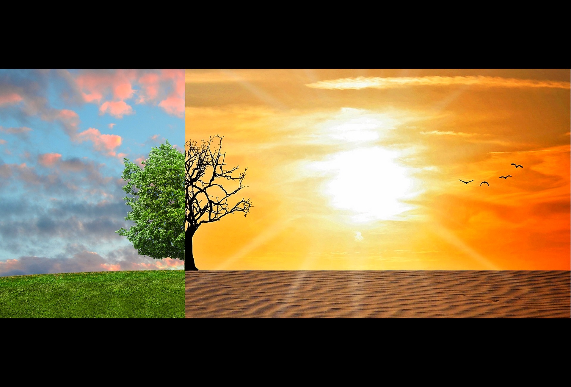 Grandir dans un monde de crises&nbsp;: être jeune à l’ère des changements climatiques