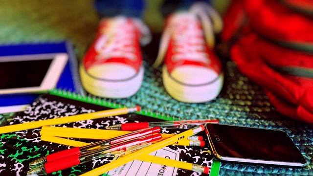 L’illusion de maîtrise : redonner du sens à la littératie numérique en classe